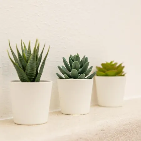 Coastal Apartament *